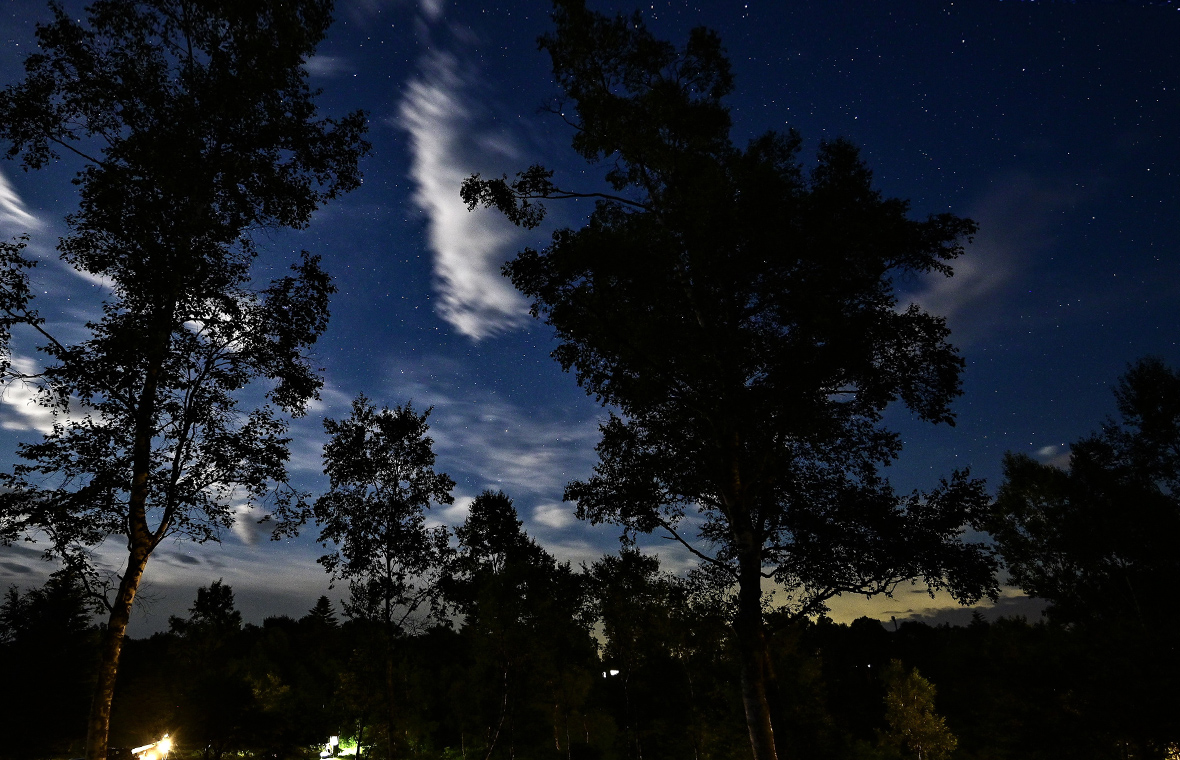 大自然を探検「キャンプ旅!